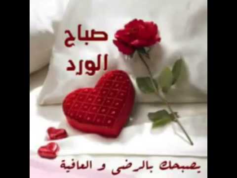 صور صباح الخير للحبيب - صور وعبارات عن صباح الخير يا حبيبى 6819 1