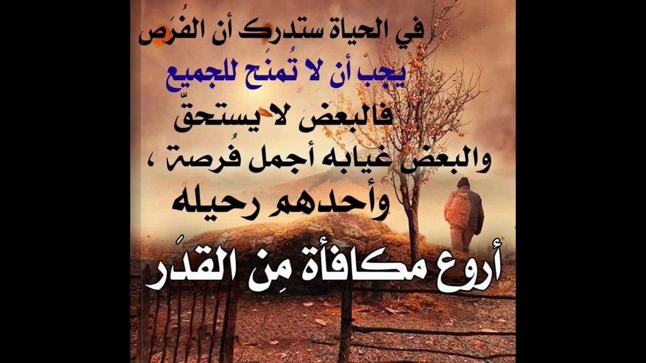 حكم عن الحياة - اقوال ماثوره عن الدنيا 6508 6