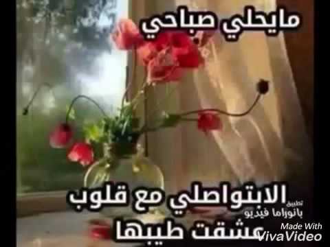 صباح خير - اجمل وارق العبارات والكلمات الرقيقة فى كل صباح 7145 4