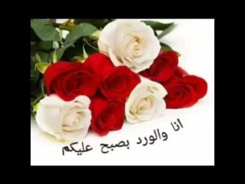 صباح خير - اجمل وارق العبارات والكلمات الرقيقة فى كل صباح 7145 1