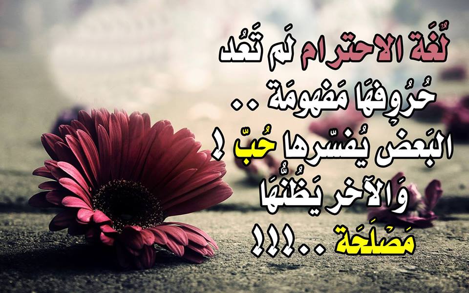 من اجمل الحكم - اروع الحكم لاشهر الحكماء 2535 8