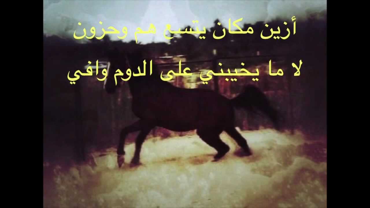 شعر في الخيل- من اجمل الاشعار التي جاءت عن الخيل 12839 1