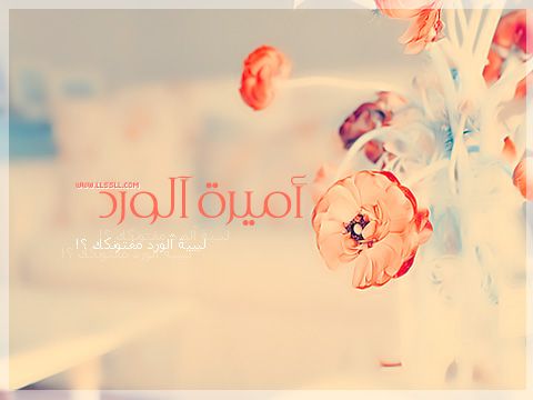 صور خلفيات للواتس - خلفيات وصور للواتس جميلة وروعة 6880 5