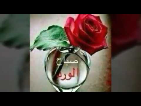 صور صباح - اجمل وارق الصور العظيمة فى كل صباح 7085 11