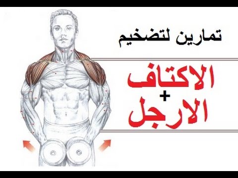 تمارين العضلات , تمرين لتقوية العضلات