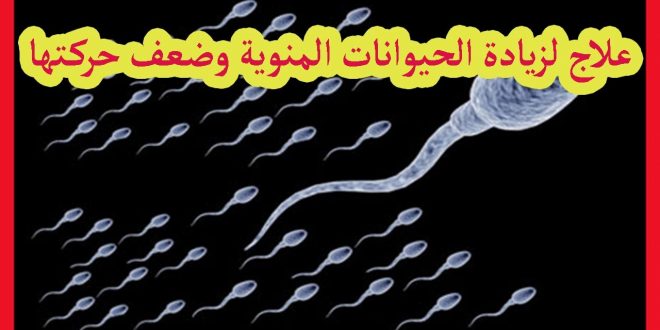 زيادة سرعة الحيوان المنوى , طرق طبيعيه لعلاج ضعف حركة الحيوان المنوى للرجل