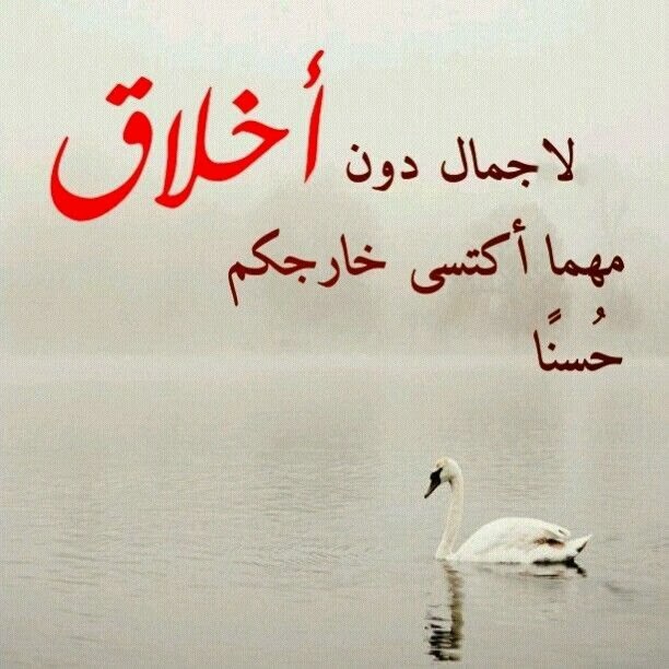 صور عبارات روعه - احلى صوره و احلى عبارات 961 4