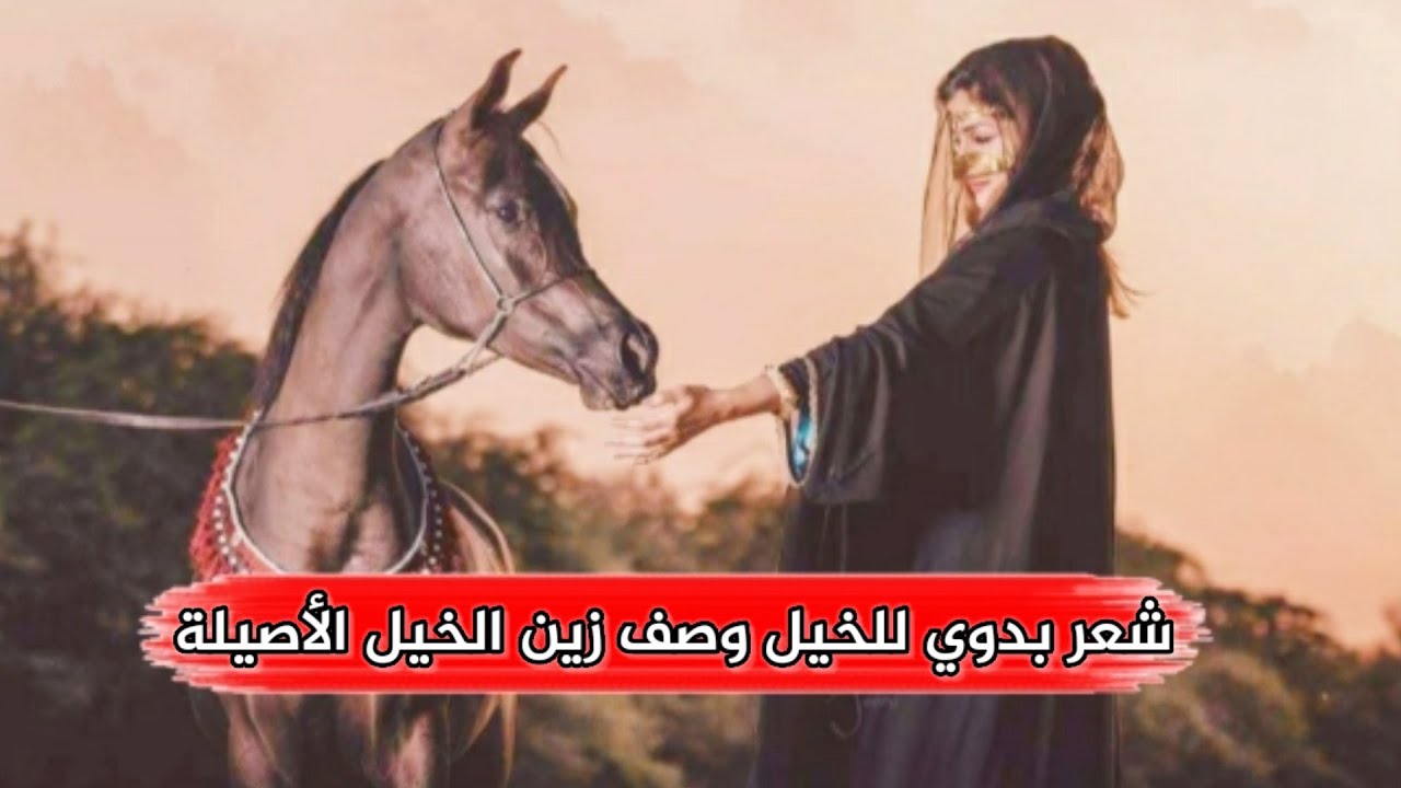 شعر في الخيل- من اجمل الاشعار التي جاءت عن الخيل 12839 6