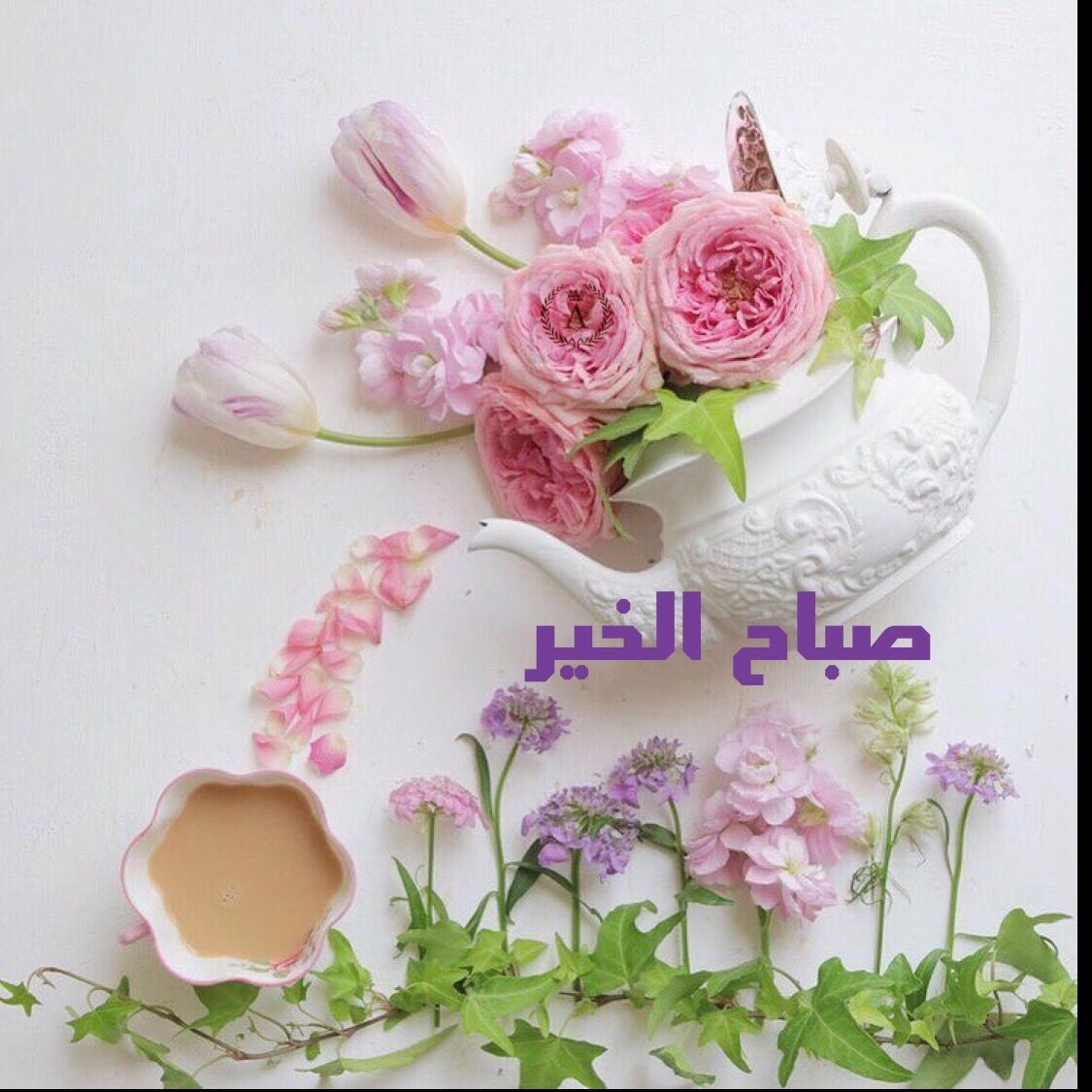 صور صباح العسل - هو صباح حلو من اوله 7524 3