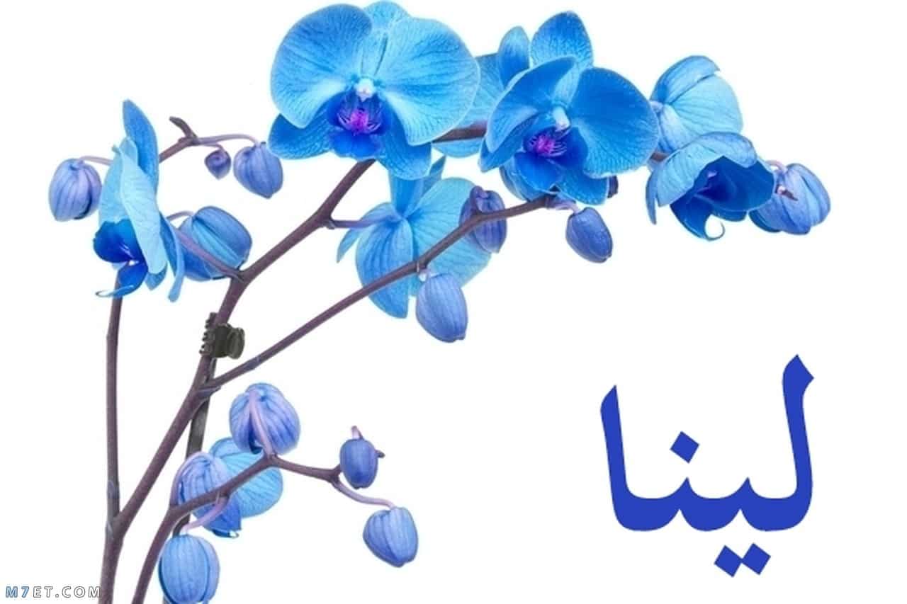 اسماء بنات دلع- اسماء للبنات كلها دلع ورقه ودلال 8861