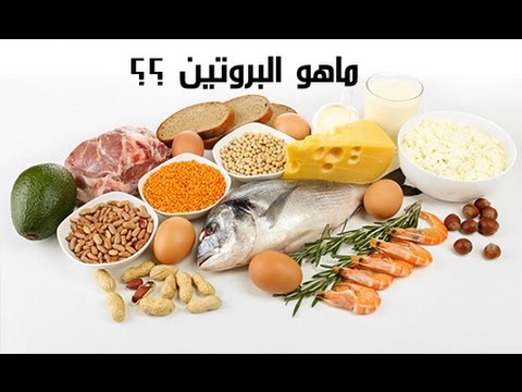 ما هو البروتين - معلومات عن البروتين 12368 3