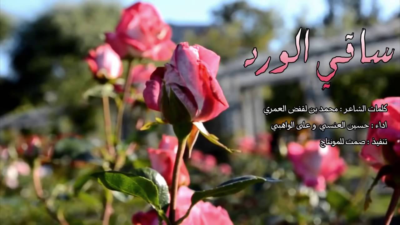 حكم عن الورد- امثال وحكم وعبارات رائعه جدا عن الورد 8721 13