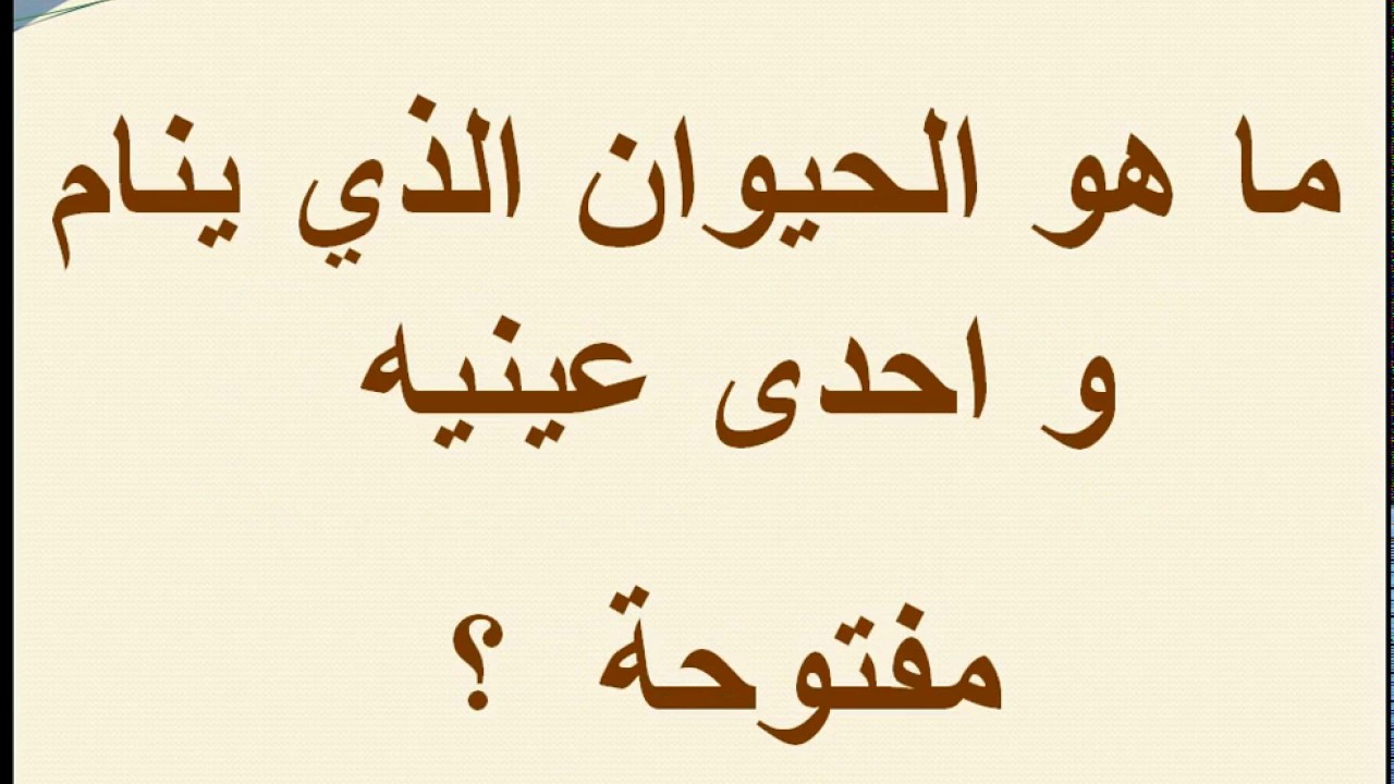 ماهو الحيوان الذي ينام واحدى عينيه مفتوحه , هتستغرب جدا لما تعرف الحيوان ده