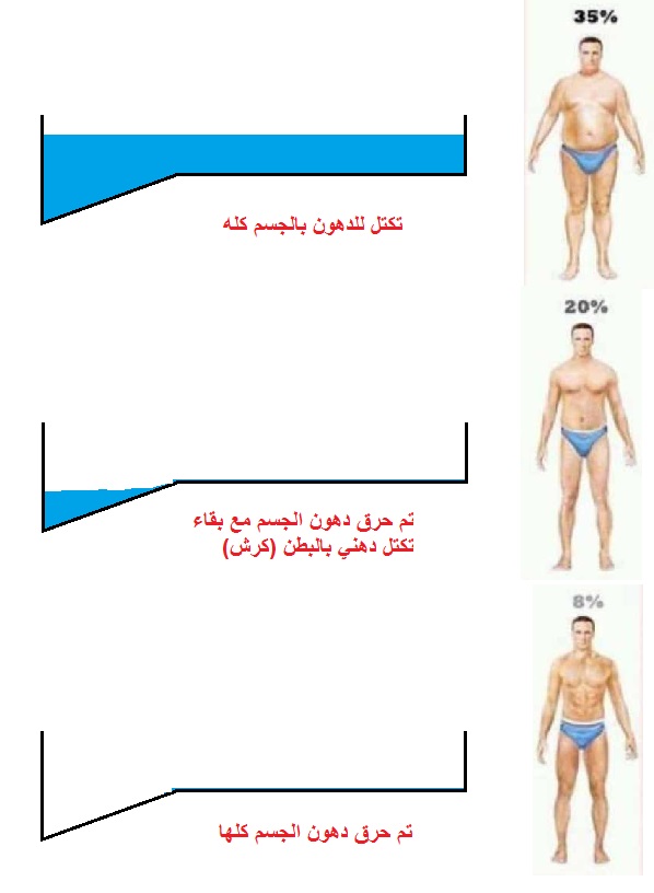 كيفية حرق الدهون - افضل وصفات لحرق الدهون 13188 2