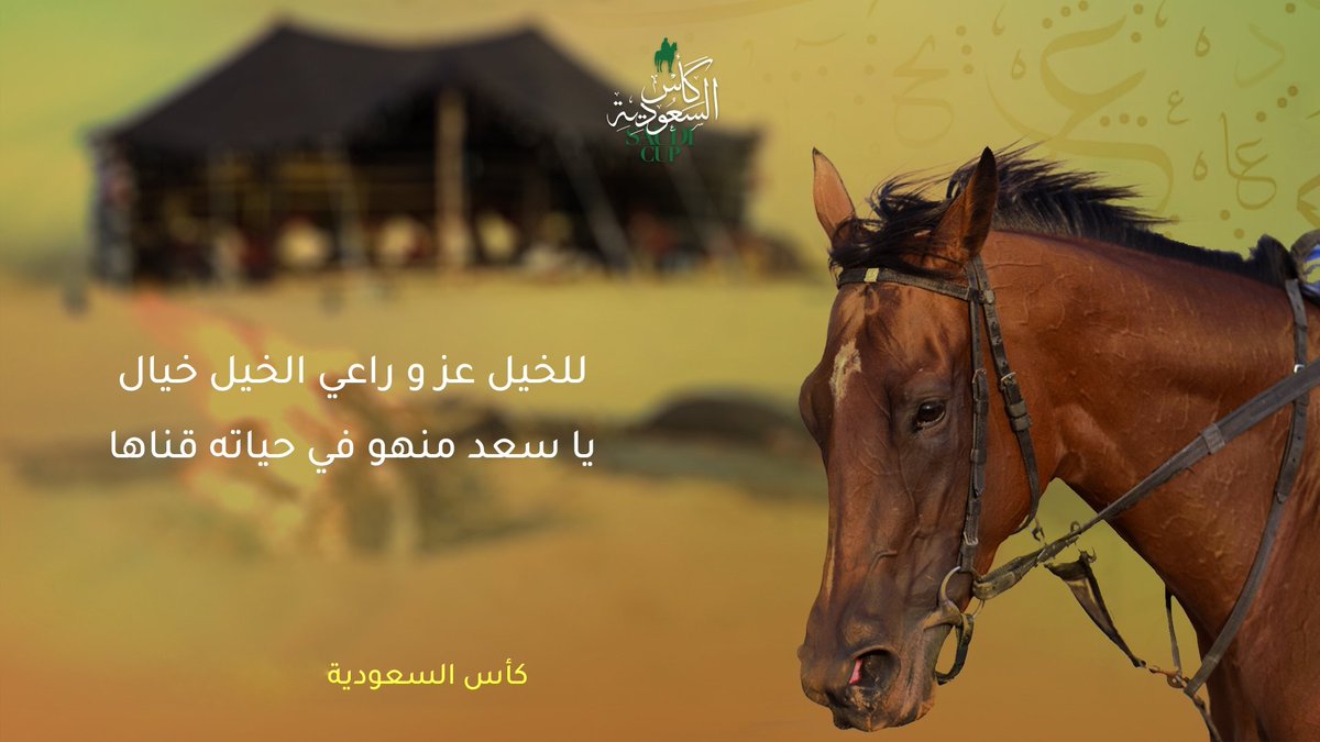 شعر في الخيل- من اجمل الاشعار التي جاءت عن الخيل 12839 2