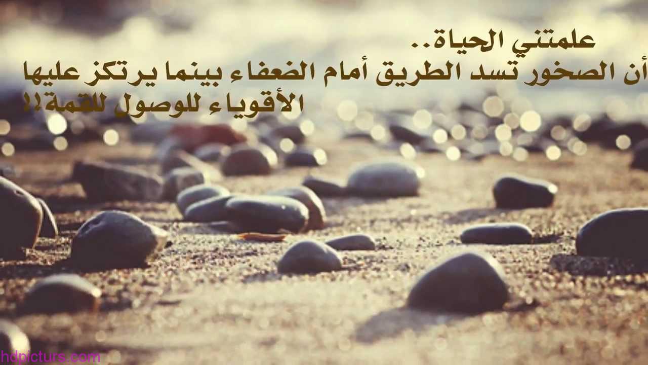 صور حب الحياة - اجمل الصور المتفائله 1121 4