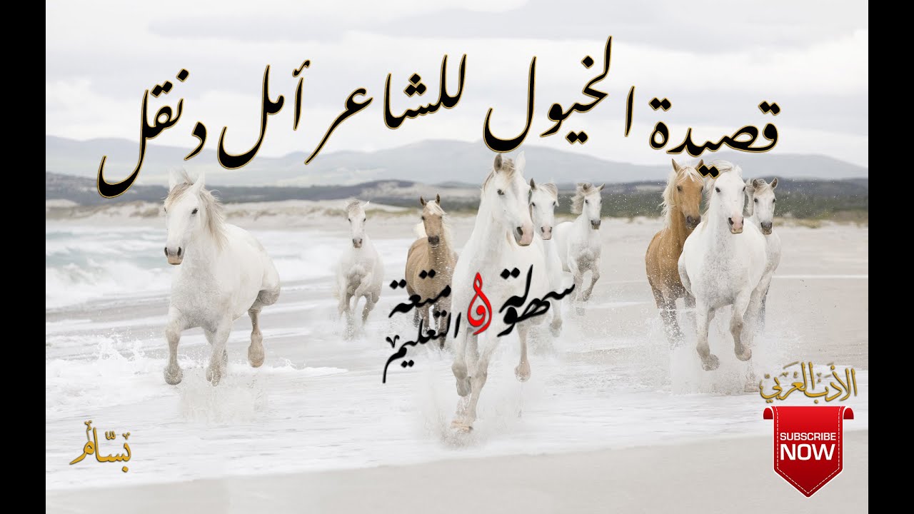 شعر في الخيل- من اجمل الاشعار التي جاءت عن الخيل 12839 8