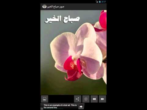 صباح ال - اجمل العبارات والكلام فى الصباح 6845 7