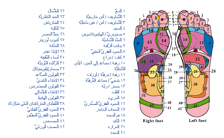 العلاج بالضغط على نقاط الجسم - ما هو العلاج بالضغط على الجسد 12366