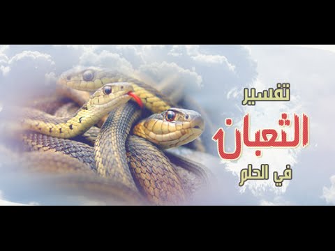 تفسير الثعبان في المنام - رؤيه الافعي فى الحلم 6567