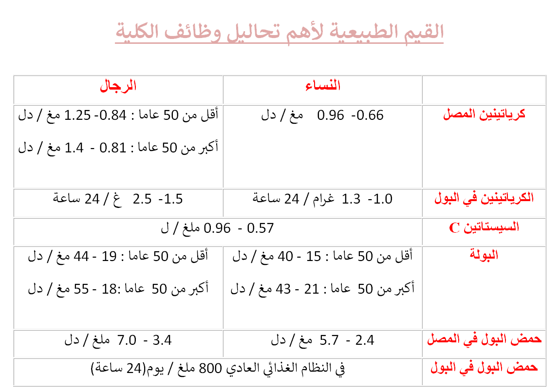 اختبار وظائف الكلى - اعراض مرضي الكلي 13598