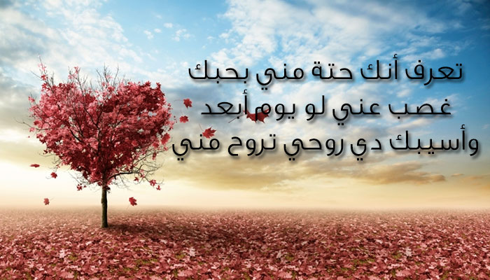 رسائل حب وغرام 6612 2