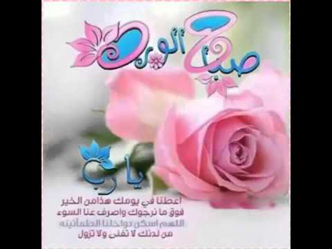 صور صباح الخير للحبيب - صور وعبارات عن صباح الخير يا حبيبى 6819 7