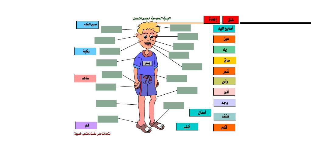 صور جسم الانسان - معلومات هامه عن جسم الانسان 9051 3