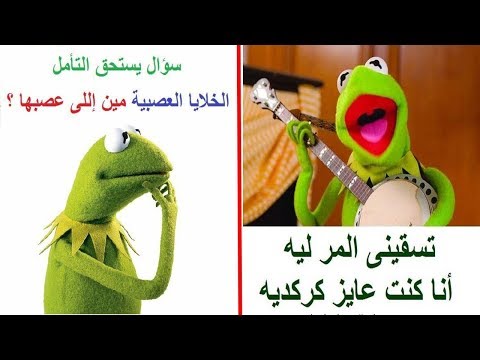 بوستات 2019 - اجمل وافضل البوستات الرقيقة والجميلة 6905