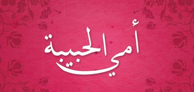 تعبير عن الام - انشاء كتابي مميز عن الوالده 8332 3