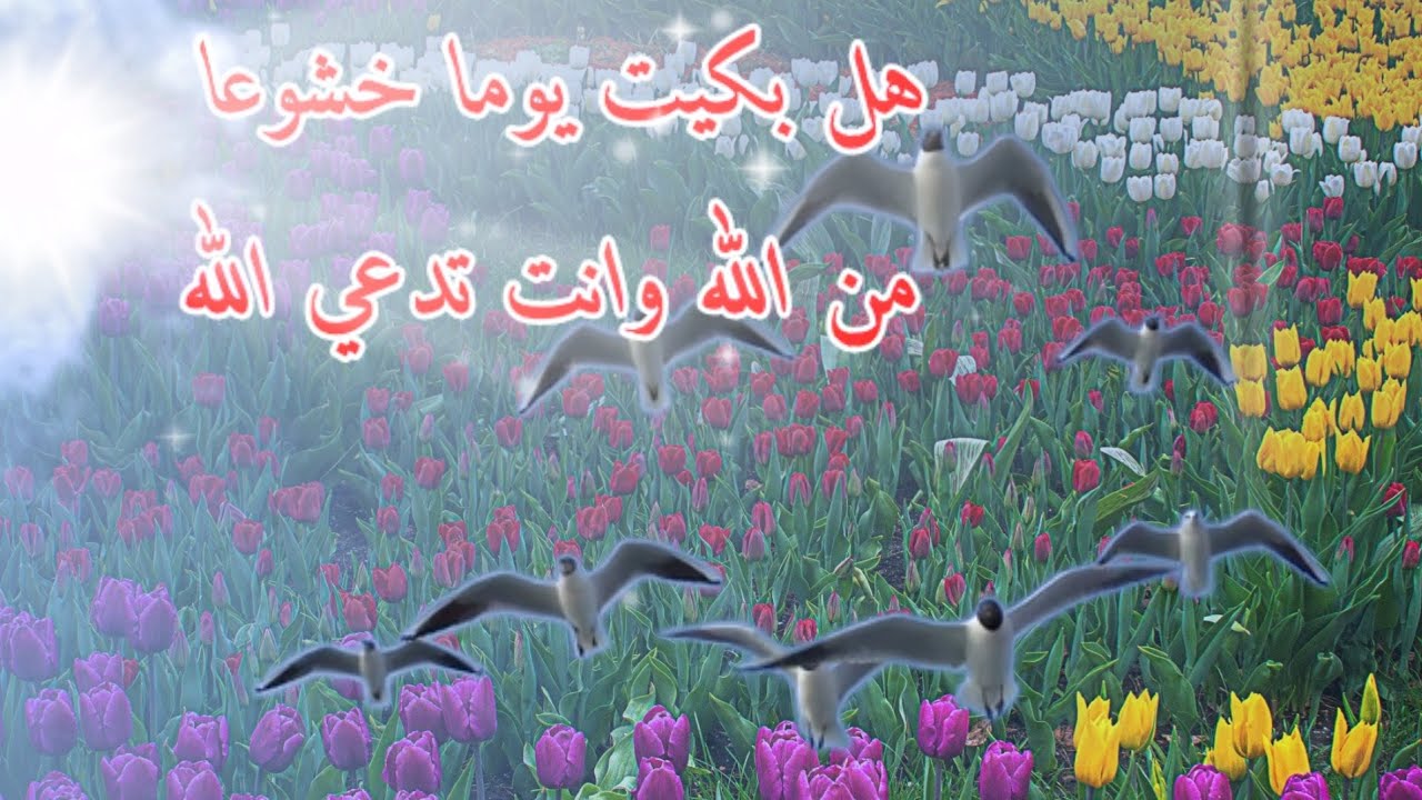 رمزيات اسلاميه- صور وبوستات دينيه روعه 8885 5