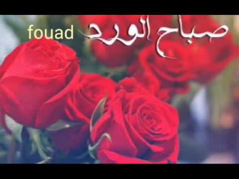 مساء الخير حبيبي - اجمل الكلمات المسائية 6787 6