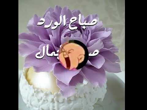 صباح ال - اجمل العبارات والكلام فى الصباح 6845 11