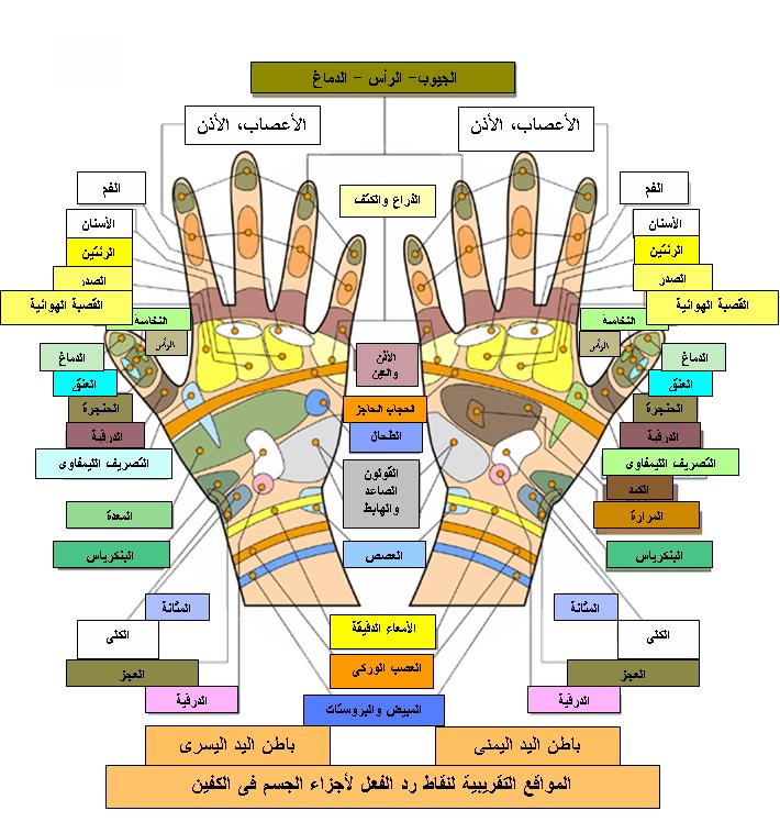 العلاج بالضغط على نقاط الجسم - ما هو العلاج بالضغط على الجسد 12366