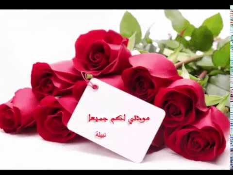 رسالة شكر لصديقتي - اجمل الرسايل الشكر الى اصدقائى 6924 5