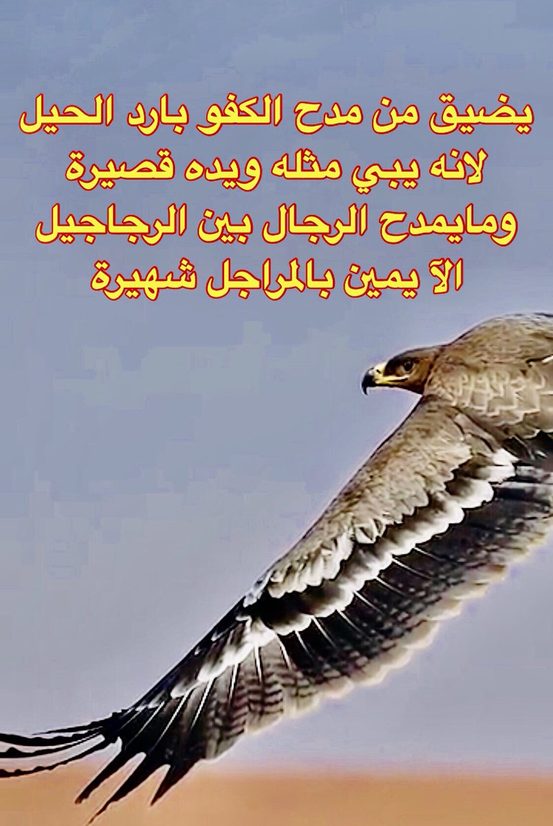 شعر مدح الرجال 7526 9