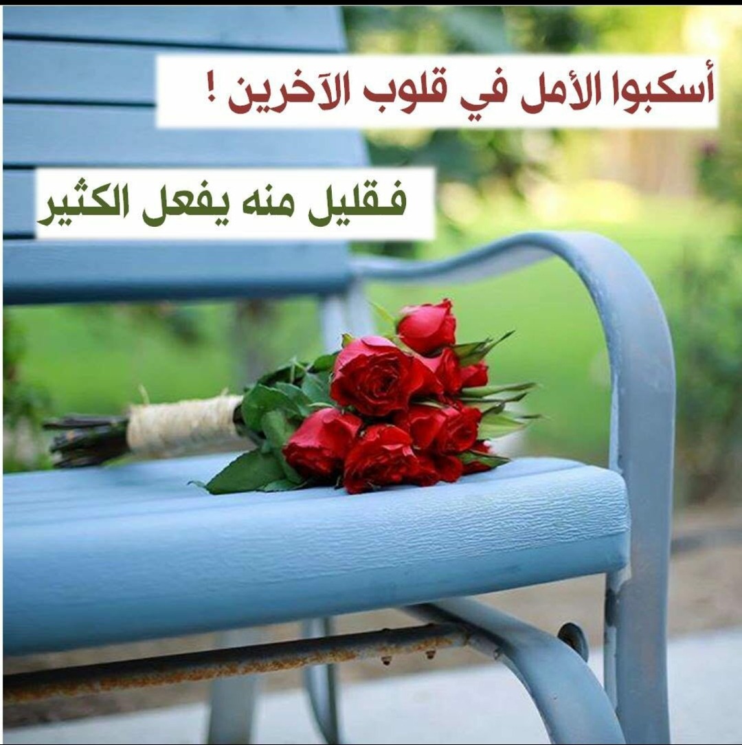 كلمات من ورود 7719 12