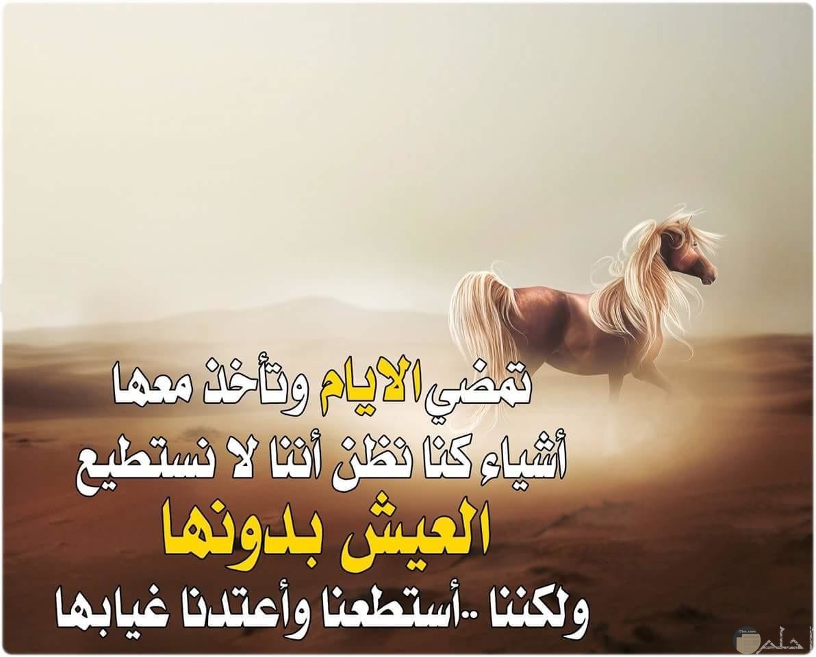 ابيات شعر مدح وفخر 7572 6