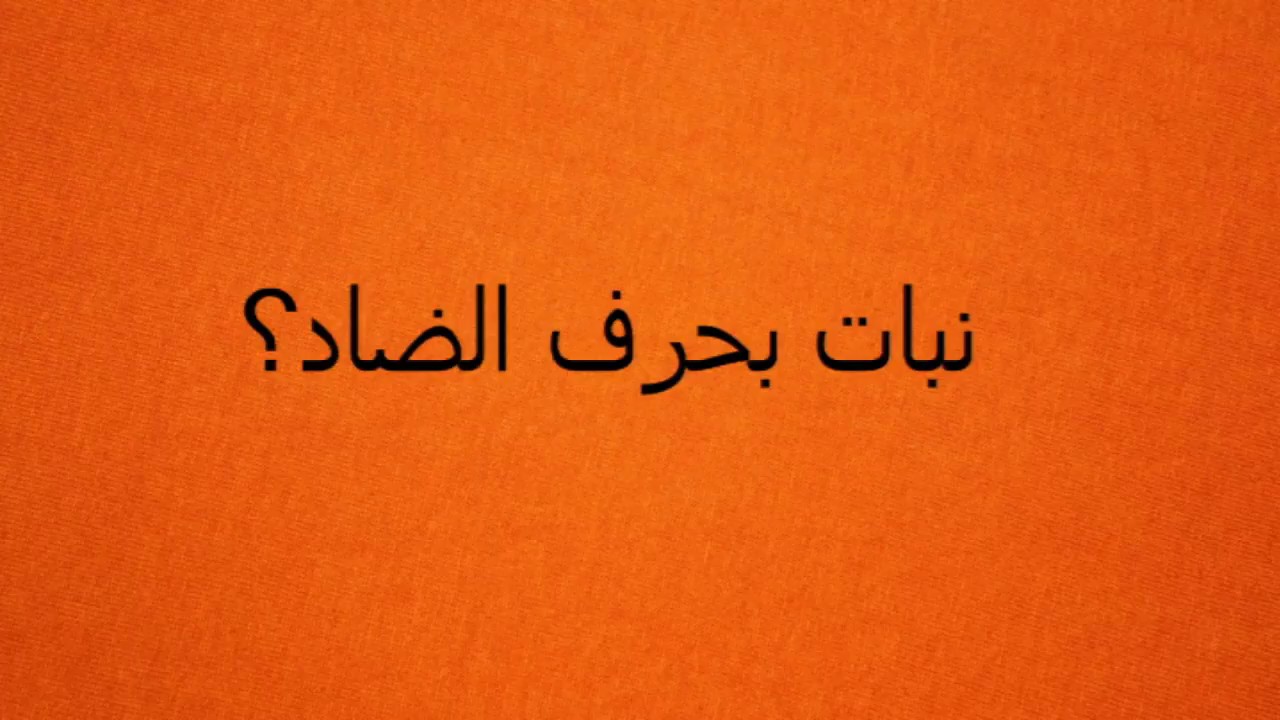 اسم نبات بحرف الضاد