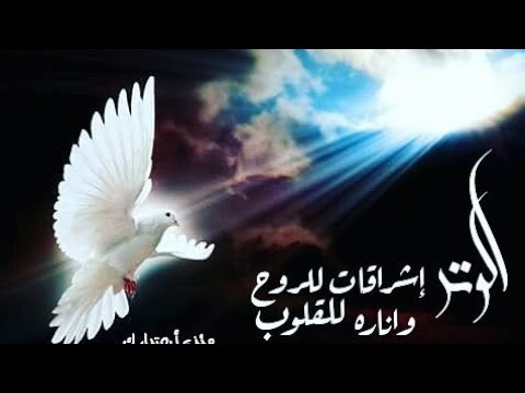 اغانى دينية مصرية - اجمل واحلى الاغانى الجميلة الرقيقة 7030 1