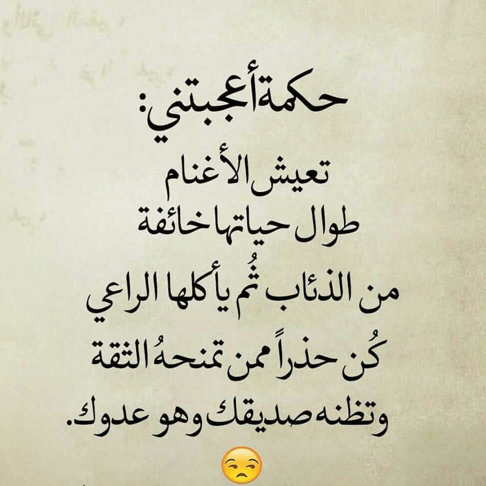 جمل مفيدة 7494 11