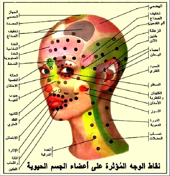 العلاج بالضغط على نقاط الجسم - ما هو العلاج بالضغط على الجسد 12366 1