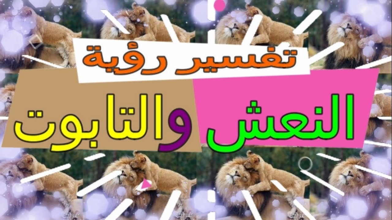 تفسير حلم النعش - تفسيرات رؤية النعش 13316