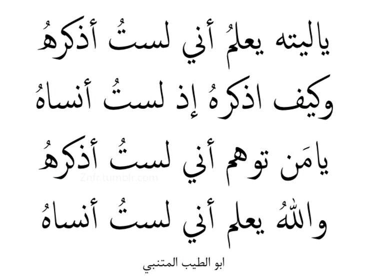 اجمل اشعار المتنبي , احلى ابيات الشعر للمتنبى