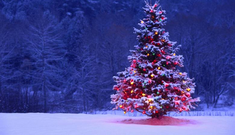 شجرة عيد الميلاد اتعلم رسم شجرة عيد الميلاد عتاب وزعل