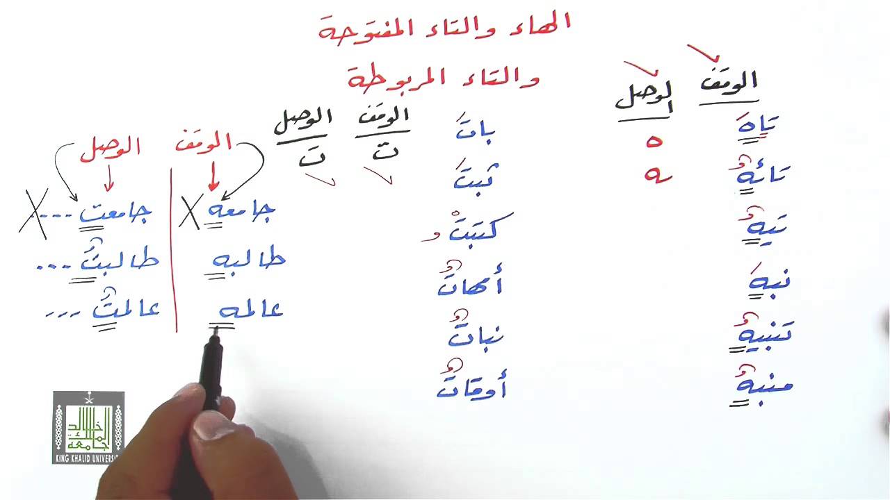 كلمات تنتهي بحرف النون والهاء