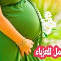 5914 3 تفسير حلم الحمل- رؤيه الحمل في المنام خير ام شر- سيدة عزمي